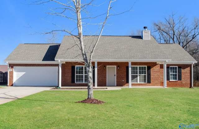 115 Chapel Creek Drive - 115 Chapel Creek Drive, Madison County, AL 35750