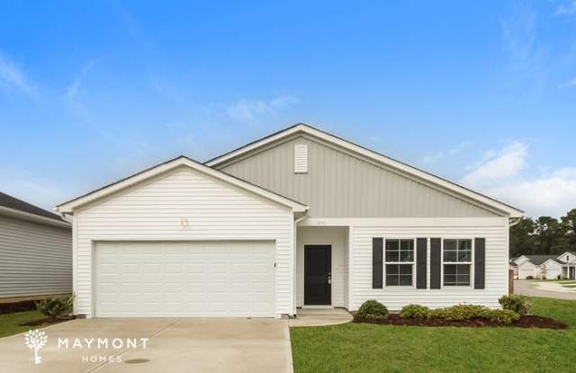 3857 Starry Sky Road - 3857 Starry Sky Road, Brunswick County, NC 28451
