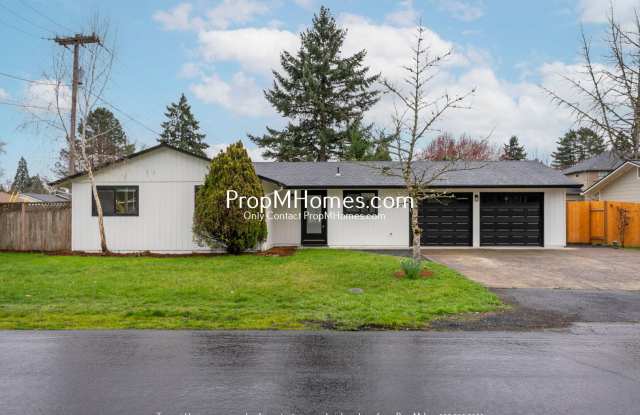 Newly Updated 3 Bedroom Aloha Home - Huge Yard! photos photos