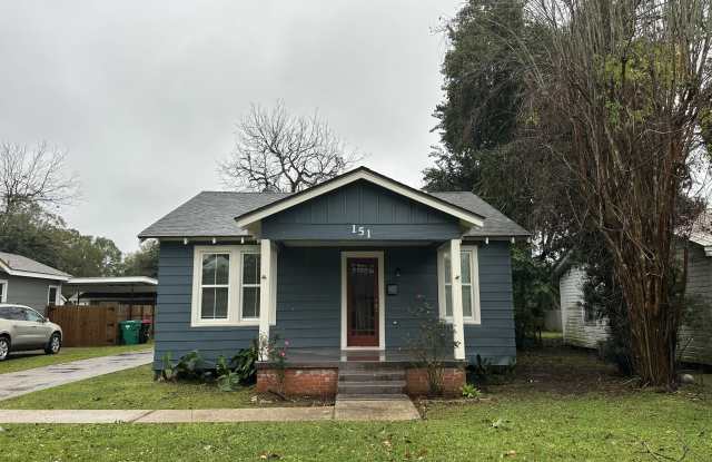 151 Louisa Street photos photos