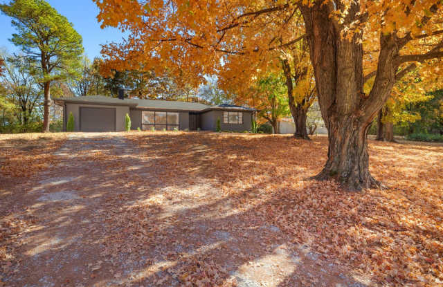 Updated Home with Spacious, Tree-Lined Yard for Rent! Gallery 4