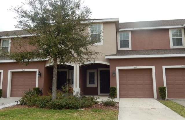 7061 TOWNE LAKE ROAD - 7061 Towne Lake Road, Progress Village, FL 33578