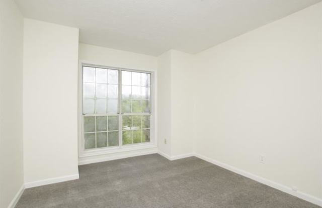508 Riverview Drive SE Gallery 4