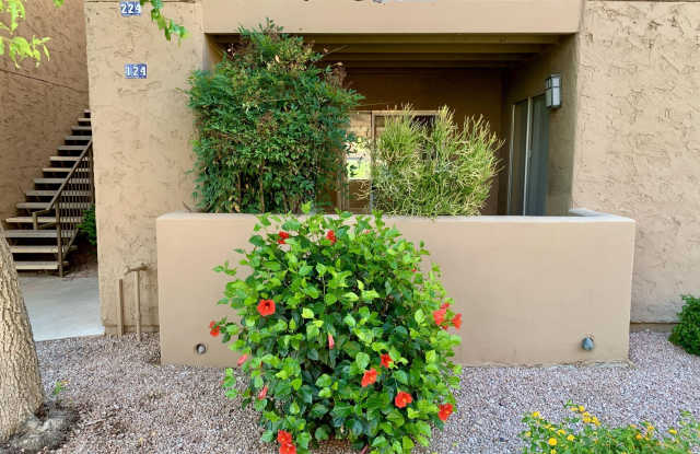 8256 E ARABIAN Trail photos photos