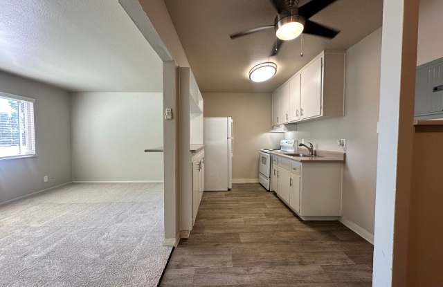 2941 Gallery 3
