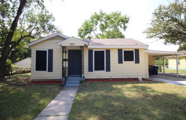 243 Freddie St - 243 Freddie Street, Dallas, TX 75217