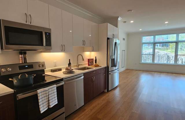 Chestnut Hill Luxury 1-Bed 1-Bath Apartment photos photos