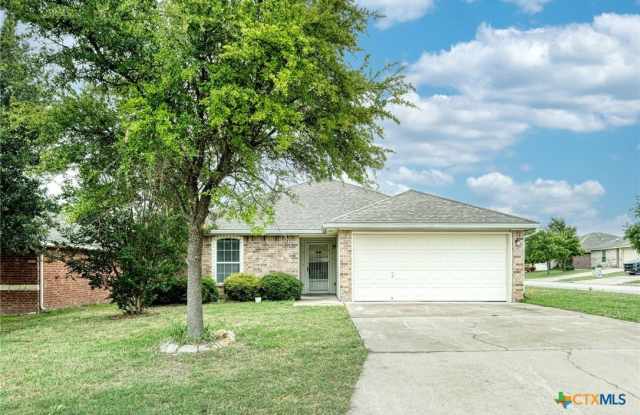 100 Calcite Lane - 100 Calcite Lane, Williamson County, TX 76537