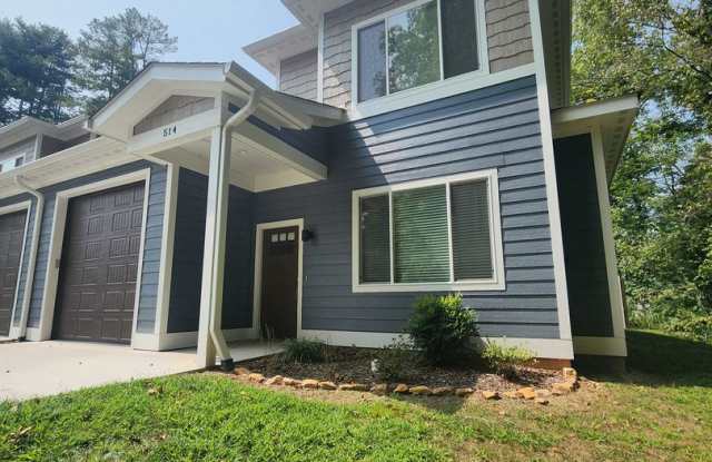 Black Mountain Rental! Gallery 1