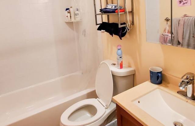 No Fee Luxury Apt w. 2 baths & Parking Included! New Construction! Central AC & Ht. Gallery 4