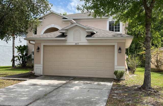 Beautiful, spacious, 4 bedroom, 2.5 bath, 2 car garage, two story home for rent in Wesley Chapel! - 18153 Sandy Pointe Drive, Tampa, FL 33647