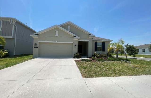 33611 SKY BLOSSOM CIRCLE photos photos