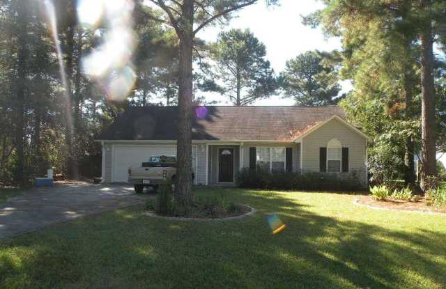 114 Brody Lane - 114 Brody Lane, James City, NC 28562