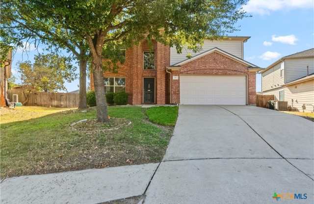 172 Coreopsis Cove - 172 Coreopsis Cove, Kyle, TX 78640