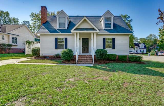 Beautifullly renovated home with easy access to I-26 photos photos