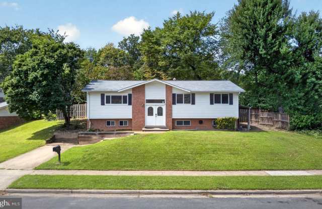 8110 SPRINGFIELD VILLAGE Drive Gallery 4