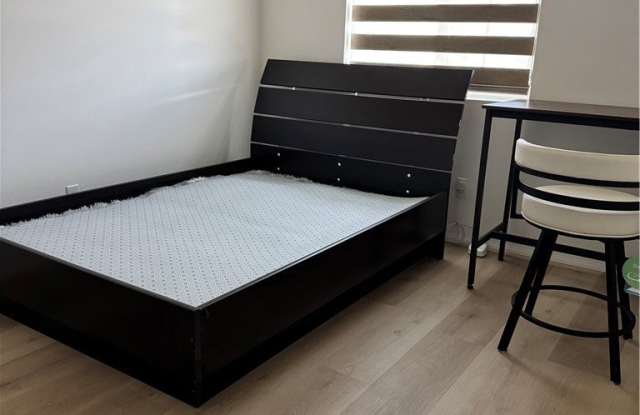 26097 Stargazer photos photos