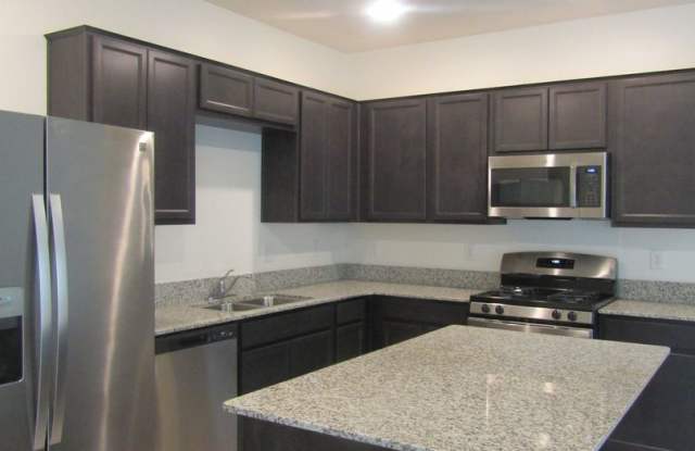 Single Story 4 bedroom home in Villago Community Gallery 4