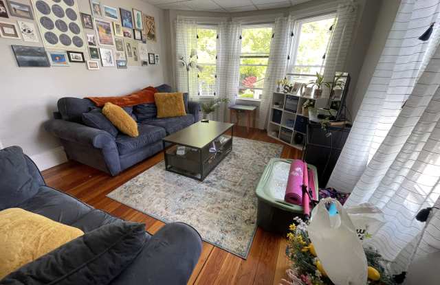 8 Custer Street Gallery 4