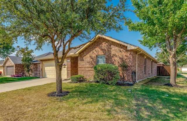 12733 Ocean Spray Drive - 12733 Ocean Spray Drive, Hackberry, TX 75036