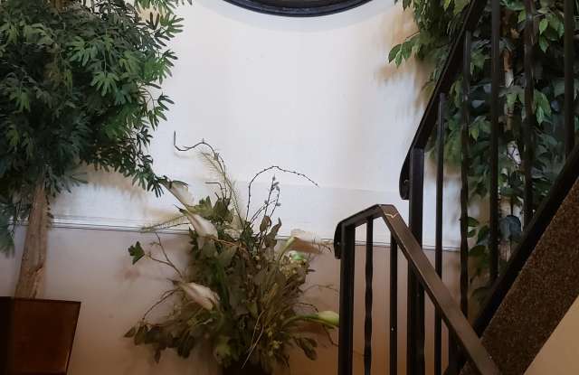 1752 Chester St Gallery 2
