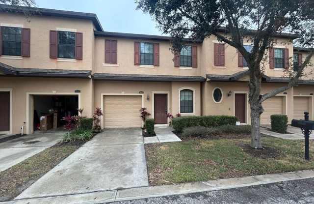 10239 Villa Palazzo Ct - 10239 Villa Palazzo Court, Town 'n' Country, FL 33615