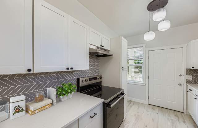 Breathtaking Renovation! Oversized 2 Bed 1 Bath Duplex – Pre-lease it Now! Gallery 3