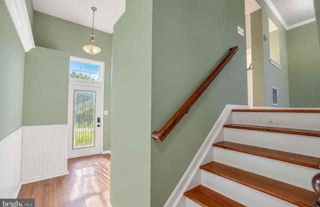 1346 COX COVE Court Gallery 3