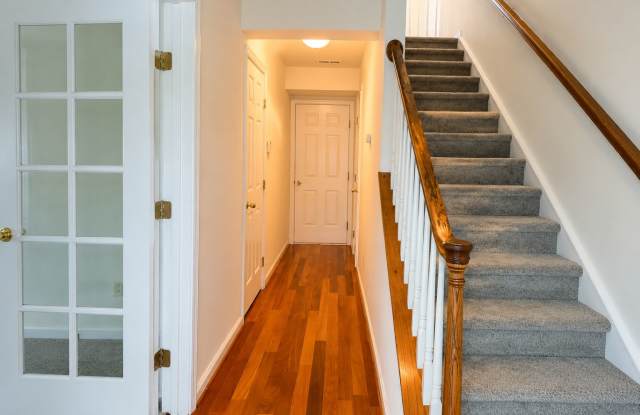 913 Tiger Lane Gallery 2