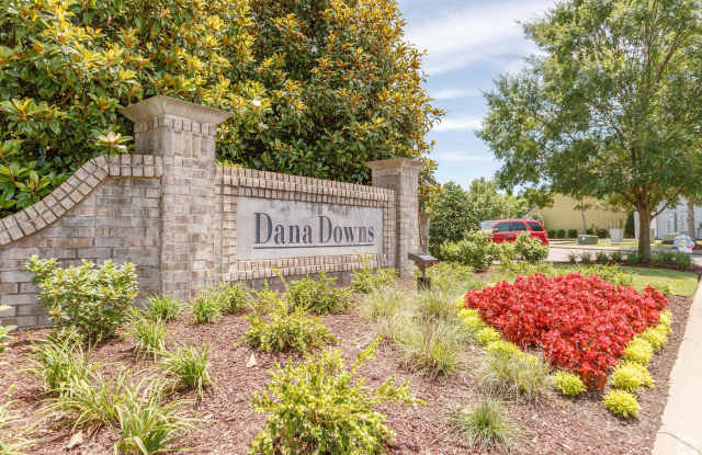 Dana Downs Gallery 1