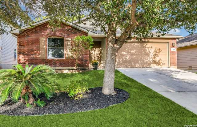 220 Hereford photos photos