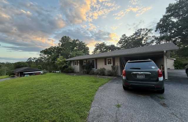 2905 River Road - 2905 River Road, Fannin County, GA 30559