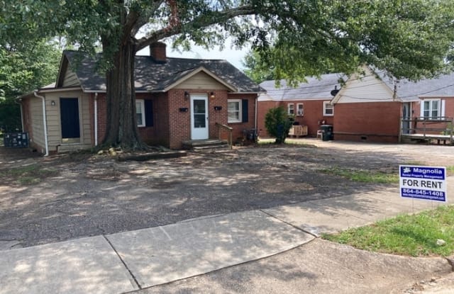 125 Mallard Street - 125 Mallard Street, Greenville, SC 29601