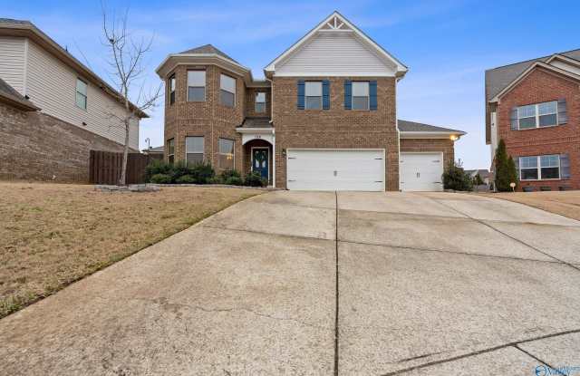 104 Settlesbridge Court - 104 Settlesbridge Court, Madison County, AL 35756 104 Settlesbridge Court - 104 Settlesbridge Court, Madison County, AL 35756