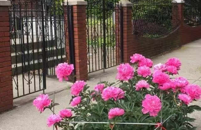 66 Sharon Street unit: 1 photos photos 66 Sharon Street unit: 1 photos photos