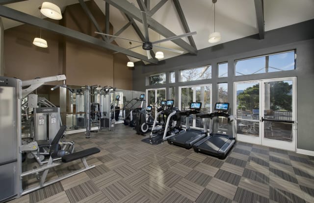 Almaden Lake Village Gallery 4