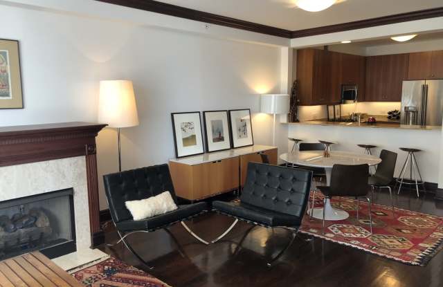 530 North Lake Shore Drive Gallery 4