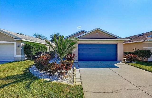 11217 COCOA BEACH DRIVE - 11217 Cocoa Beach Drive, Riverview, FL 33569