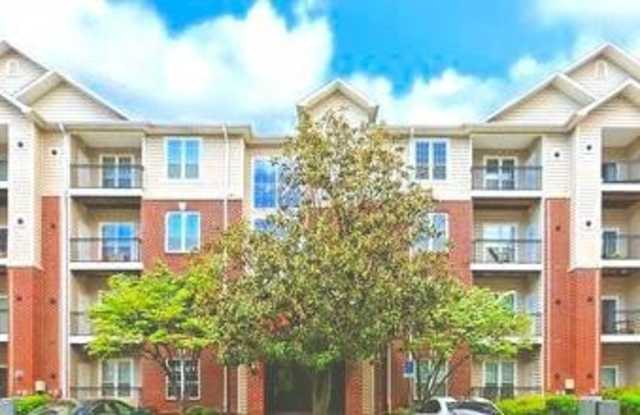 1591 SPRING GATE Drive Gallery 1