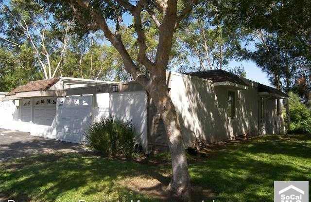 22505 Caminito Grande #61 - 22505 Caminito Grande, Laguna Hills, CA 92653