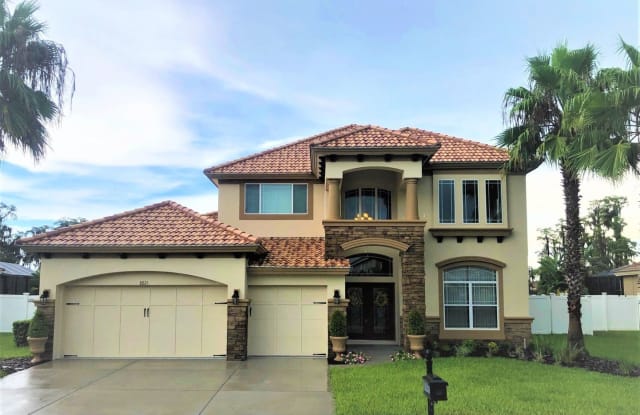8821 New Alexandria Loop - 8821 New Alexandria Loop, Pasco County, FL 34654