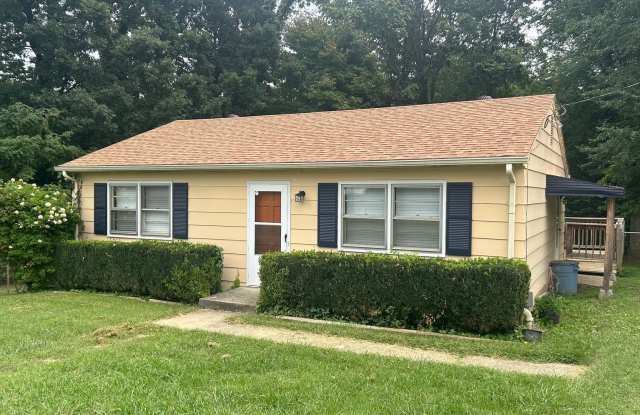 One Level House in Madison Heights - 155 Thomas Road, Madison Heights, VA 24572