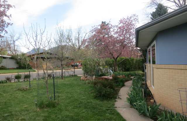 Grape Vines on Grape Ave: 3 bed/2 bath ranch in AMAZING location in Old North Boulder! photos photos