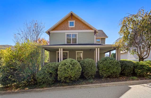 Modern Arts and Crafts Home - 2 Veranda Tr, Buncombe County, NC 28803