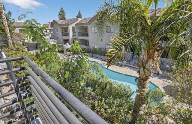 4525 N 22nd Street unit: 206 photos photos