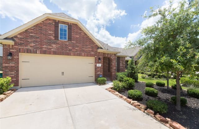 43 Tidwillow Place - 43 Tidwillow Place, The Woodlands, TX 77375