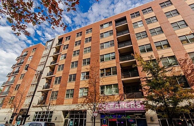 873 N Larrabee St 409 - 873 North Larrabee Street, Chicago, IL 60610