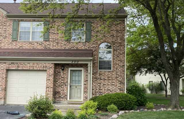 300 Cromwell Court - 300 Cromwell Court, Westmont, IL 60559