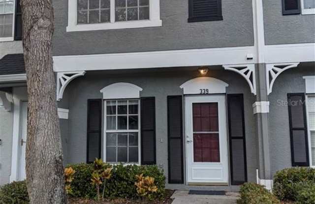 339 COUNTRYSIDE KEY BOULEVARD - 339 Countryside Key Boulevard, Oldsmar, FL 34677