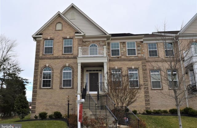 41676 BLUE GRAMA CIR - 41676 Blue Gramma Circle, Stone Ridge, VA 20105